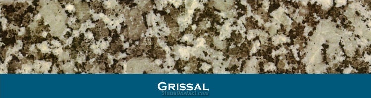 Grissal Granite Tile,Spain Grey Granite