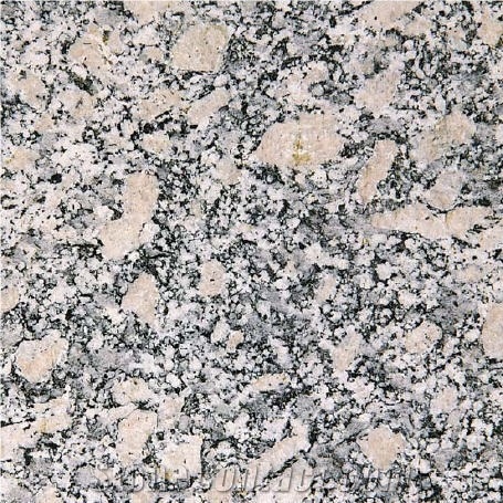 Serizzo Ghiandone Granite Tile, Italy Grey Granite
