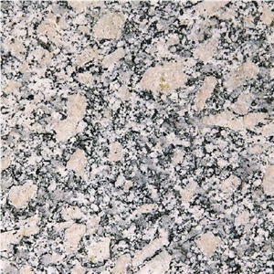 Serizzo Ghiandone Granite Tile, Italy Grey Granite