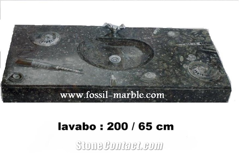 Fossil Black Limestone Basin