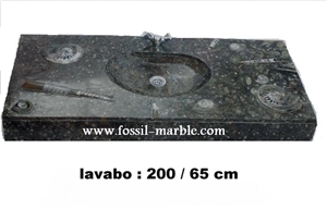 Fossil Black Limestone Basin