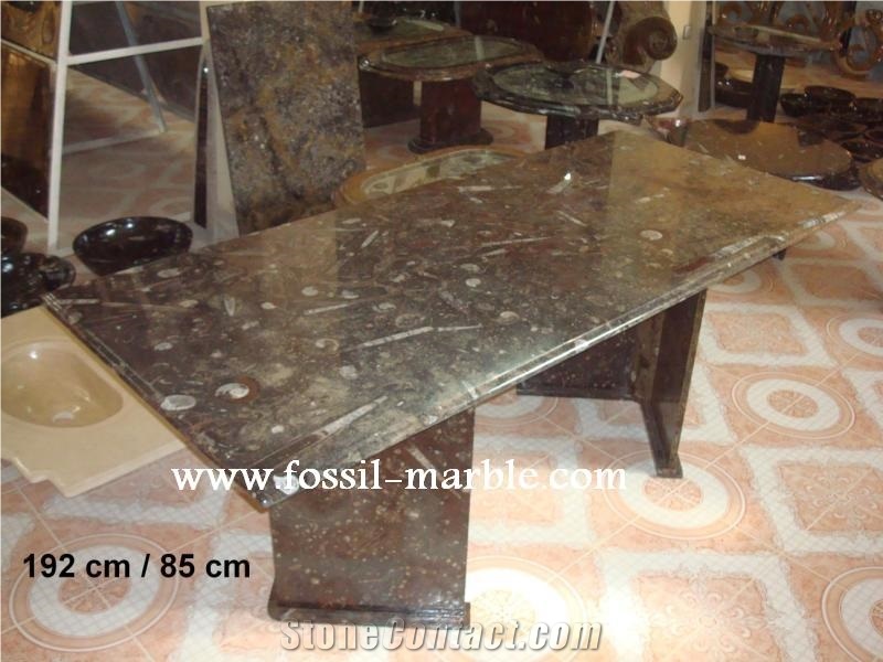 Fossil Black Limestone Tables