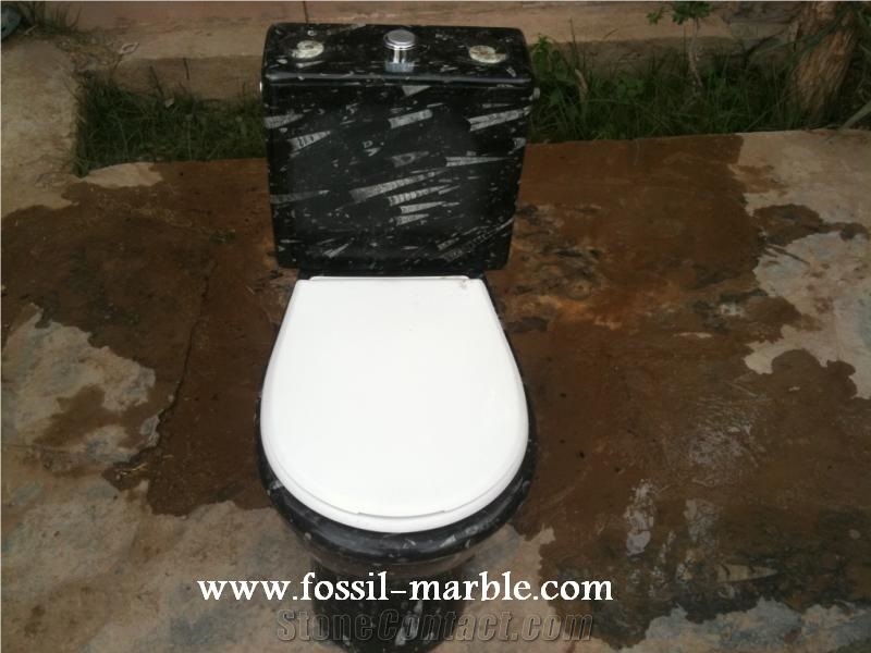Fossil Black Limestone Toilet