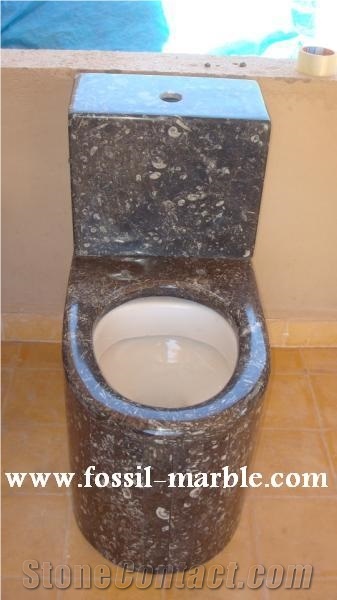 Fossil Black Limestone Toilet