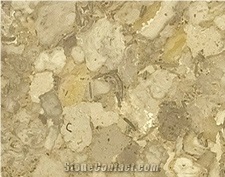 Gemstone Marble Tile, Pakistan Brown Marble