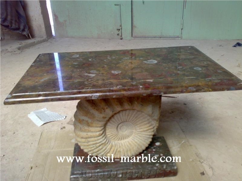 Fossil Black Limestone Tables