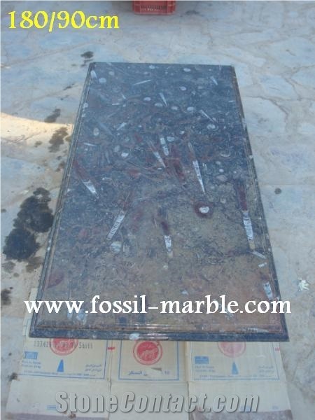 Fossil Limestone Tables