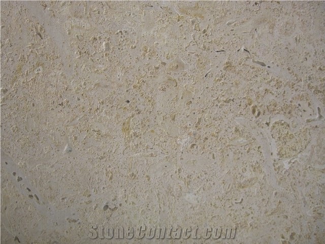 Classic Coral Stone Brushed Tiles