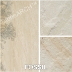 Fossil Sandstone Tile, India Beige Sandstone
