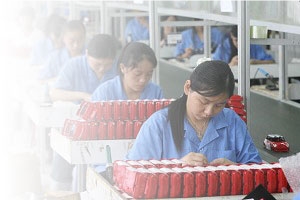 Factory Audit and Factory Evaluation Service