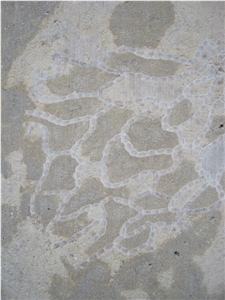 Tyndall Stone Limestone Tile, Canada Grey Limestone