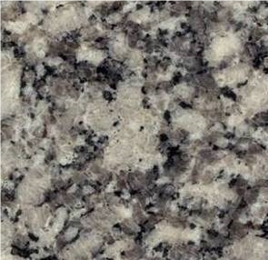 Gris Perla Salto, Argentina Grey Granite Slabs & Tiles
