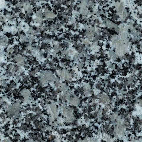 Grissal, Spain Grey Granite Slabs & Tiles