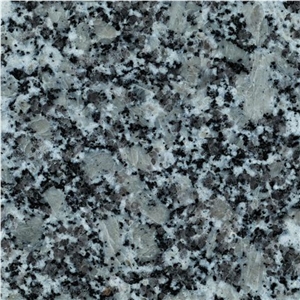 Grissal, Spain Grey Granite Slabs & Tiles