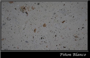 Pinon Blanco, Mexico White Sandstone Slabs & Tiles
