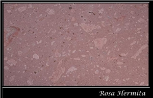 Rosa Hermita, Mexico Red Sandstone Slabs & Tiles
