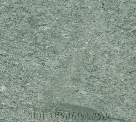 Andeerer Gneis, Switzerland Green Quartzite Slabs & Tiles
