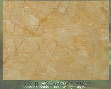 Dorado Tepexi, Mexico Yellow Limestone Slabs & Tiles