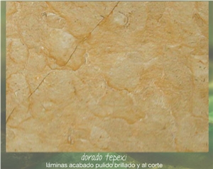Dorado Tepexi, Mexico Yellow Limestone Slabs & Tiles