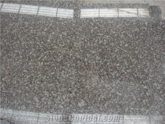 Bainbook Brown G664 Granite
