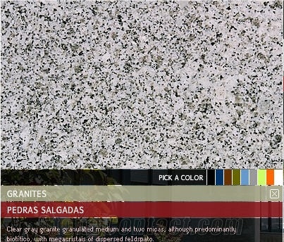 Pedras Salgadas, Portugal Grey Granite Slabs & Tiles