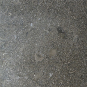 Saint Marc Limestone Slabs, France Grey Limestone