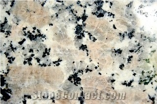 Maneechoke Granite, Thailand Grey Granite Slabs & Tiles