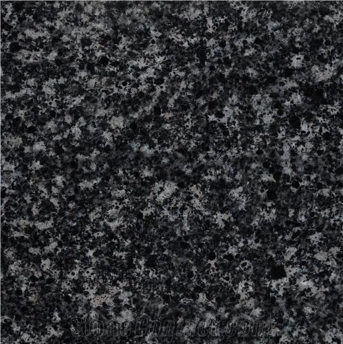 Alamout Black Granite Slabs, Iran Black Granite