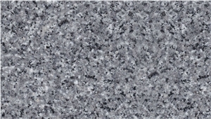 Shaghayegh Granite Slabs, Iran Grey Granite