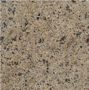 Zanjan Spring, Chocolate Zanjan Granite Slabs