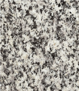 Serizzo Antigorio Scuro, Italy Grey Granite Slabs & Tiles