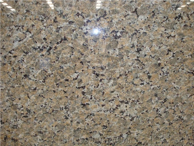Imported Granite Beige Butterfly