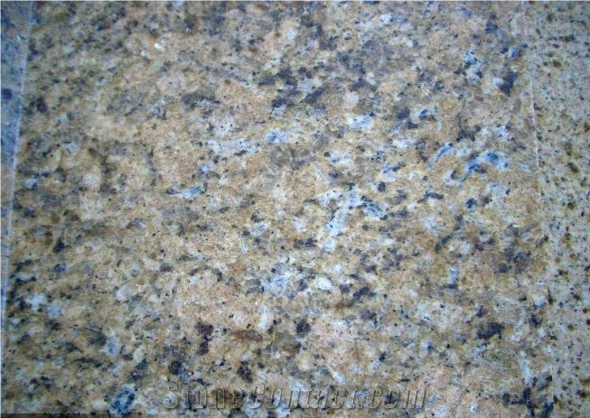 Imported Granite Giallo Veneziano Old Quarry