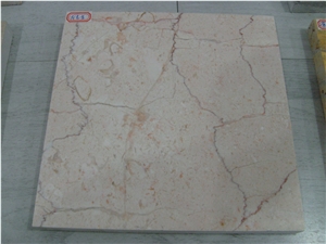 Imported Marble Shell Beige