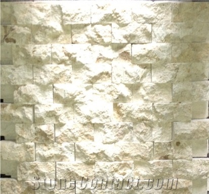 White Coral Stone Mactan Shell Stone, Coral Stone White 3d Mosaic