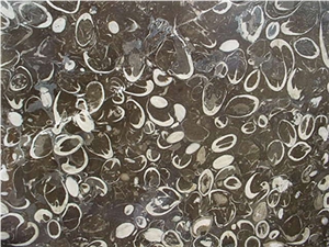 Occhio Di Pavone, Italy Black Limestone Slabs & Tiles