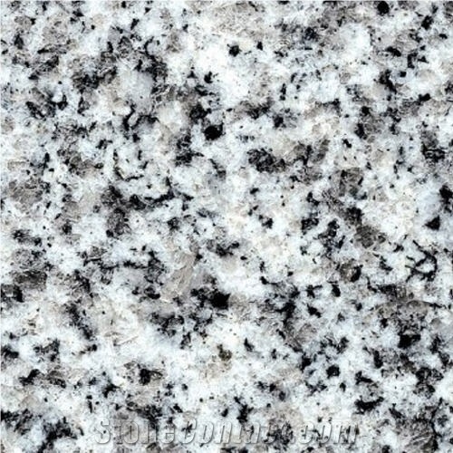 Gris Salvaje, Venezuela Grey Granite Slabs & Tiles