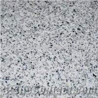 China Bianco Sardo SM-G640, G640 Granite Tiles
