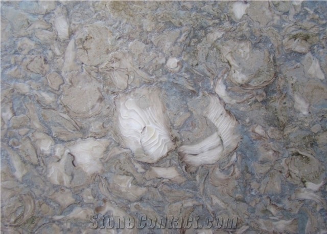 Kohilie Brushed, Syria Grey Limestone Slabs & Tiles