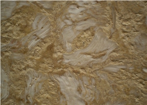 Shells Reef Caramel Limestone Slabs & Tiles, Syria Yellow Limestone