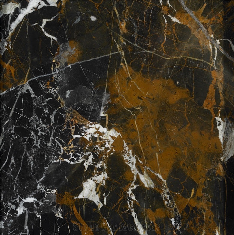 Michelangelo - Michaelangelo - Black Gold Marble