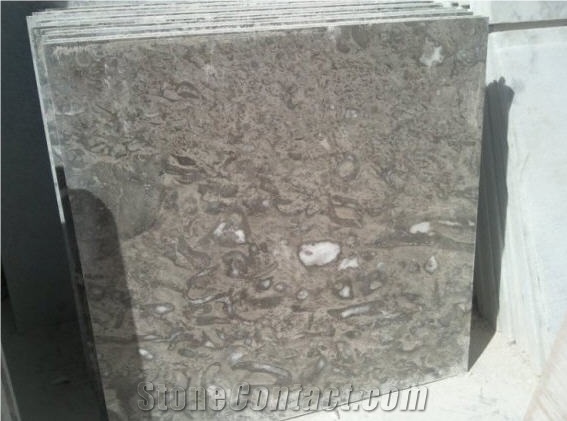 Gris Goleta, Mexico Grey Limestone Slabs & Tiles