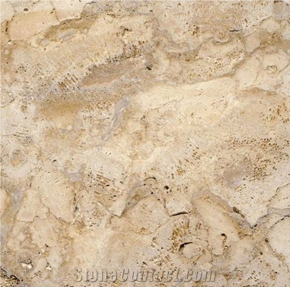 Piedra Coralina, El Salvador Beige Limestone Slabs & Tiles