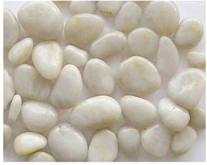 White Pebble Stone for Plants, Paths and Driveways