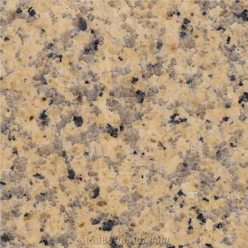 BD White Yellow Granite Honed Finish, Yellow Binh Dinh Granite Slabs