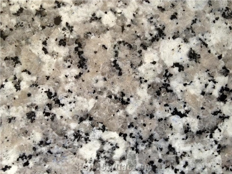 Pc Violet Granite Slabs