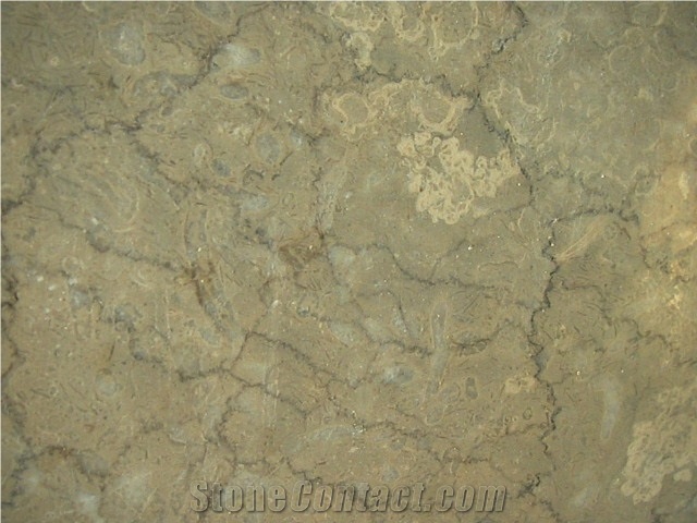 Fossil Beige Marble Tiles,Slabs, Polished Floor Covering Tiles, Walling Tiles