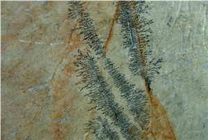 Fossil Mint Slate Tile