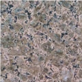 New Tropical Brown, Brazil Brown Granite Slabs & Tiles