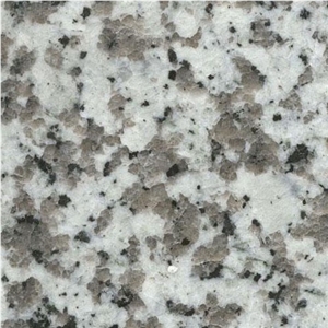 G439 Granite Tiles, China White Granite